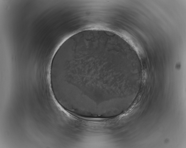 X0000097970863200803241234