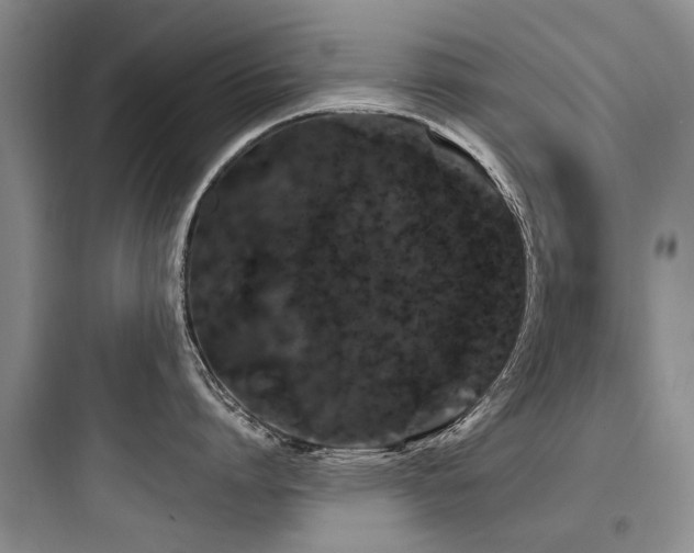 X0000097970864200803241234