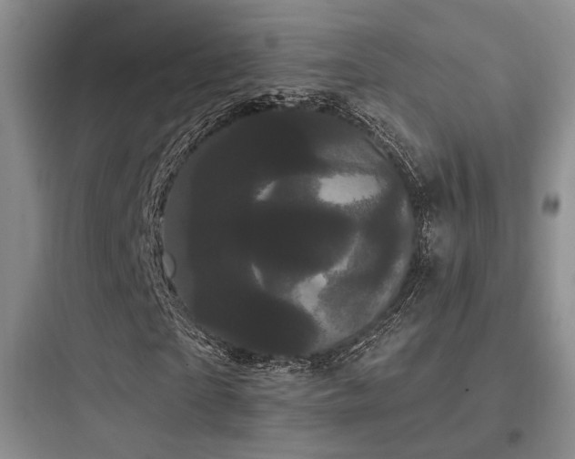 X0000097970865200803241233
