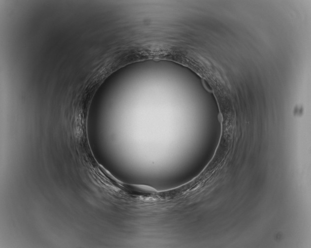 X0000097970866200803241233