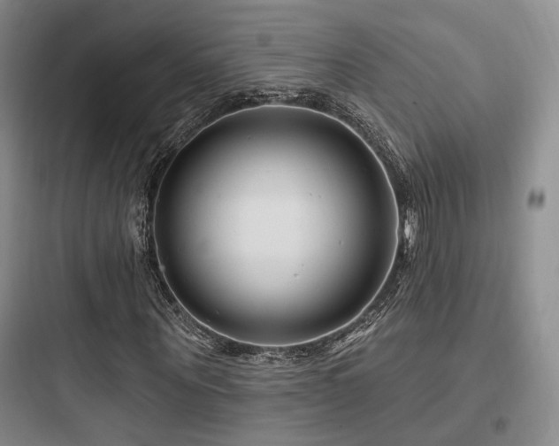 X0000097970867200803241233