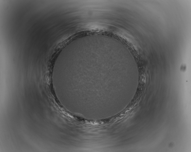 X0000097970869200803241233