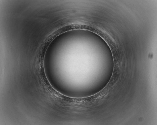 X0000097970870200803241233