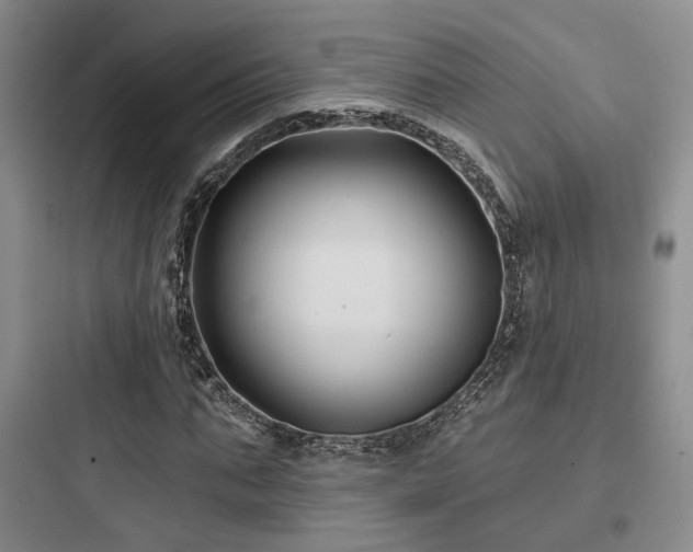 X0000097970871200803241233