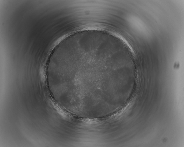X0000097970874200803241233