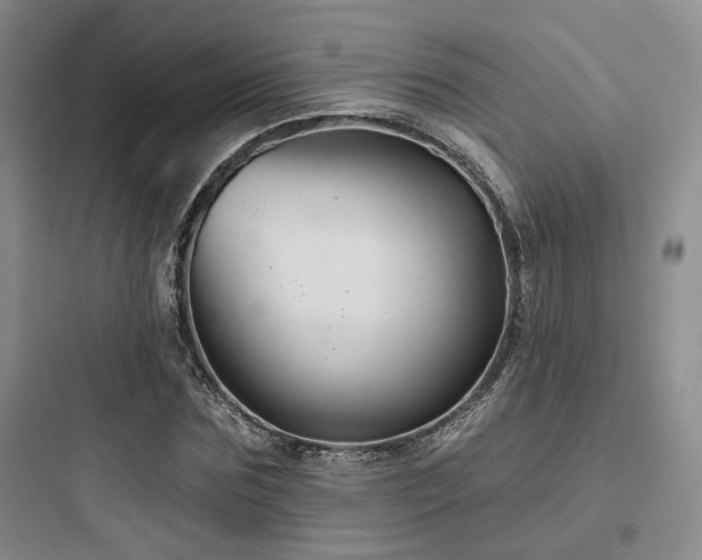 X0000097970875200803241233