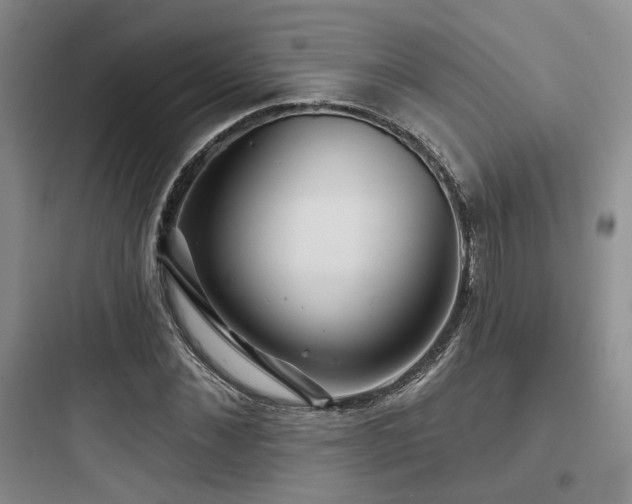 X0000097970876200803241233