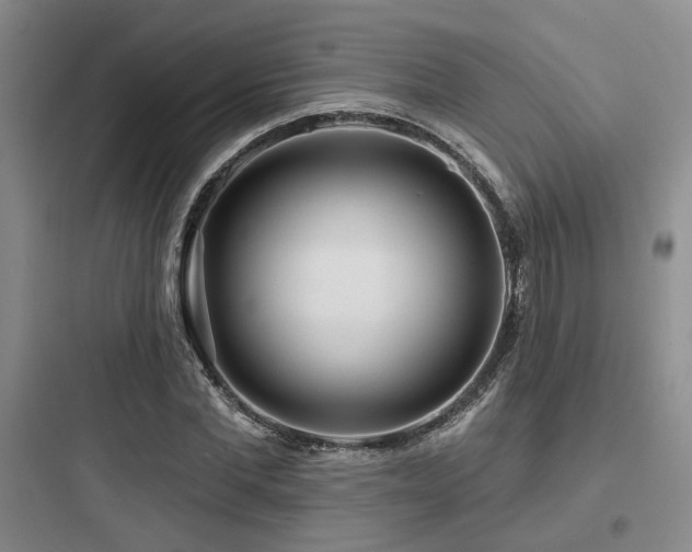 X0000097970877200803241233