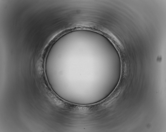 X0000097970878200803241233