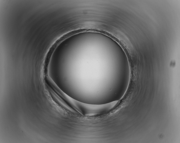 X0000097970880200803241233