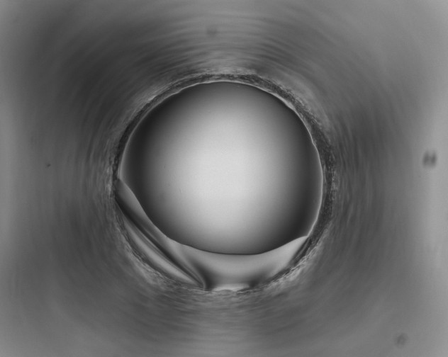 X0000097970881200803241233