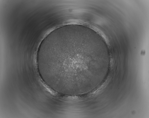 X0000097970882200803241233