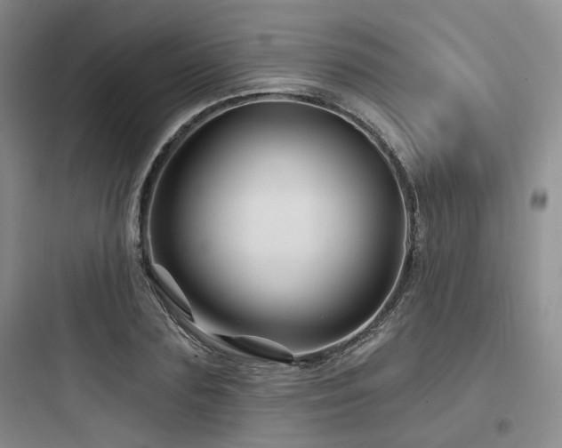 X0000097970883200803241233