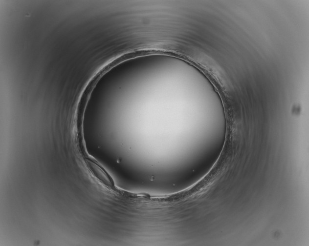 X0000097970884200803241233