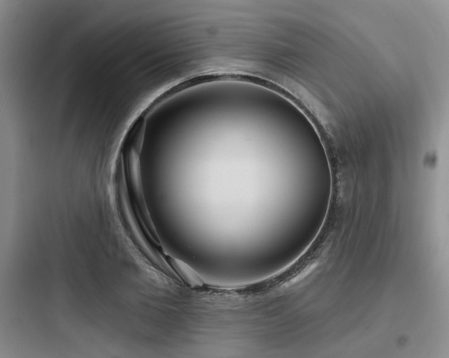 X0000097970885200803241233