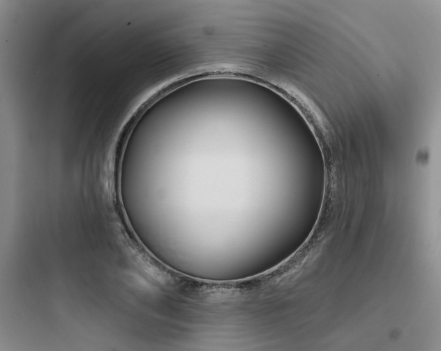 X0000097970886200803241233