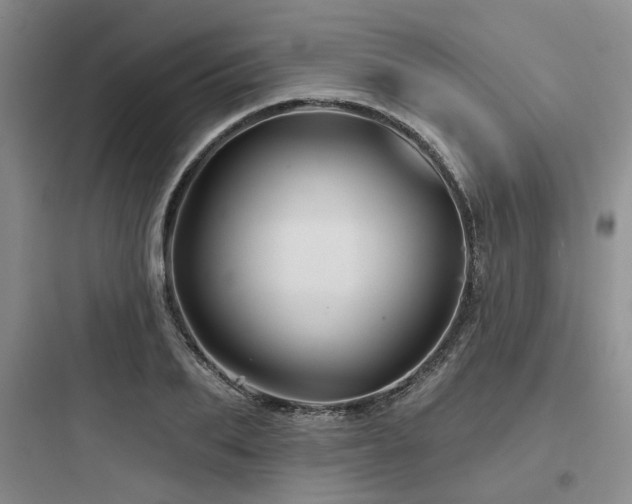 X0000097970887200803241233
