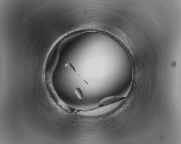 X0000097970888200803241233