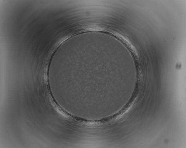 X0000097970889200803241233