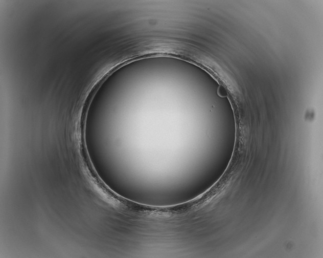 X0000097970890200803241233