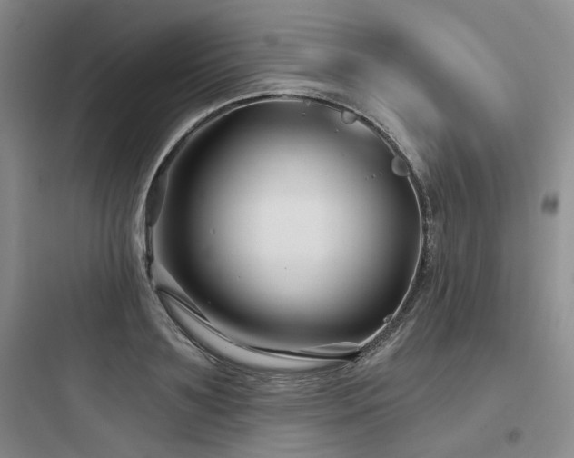 X0000097970891200803241233