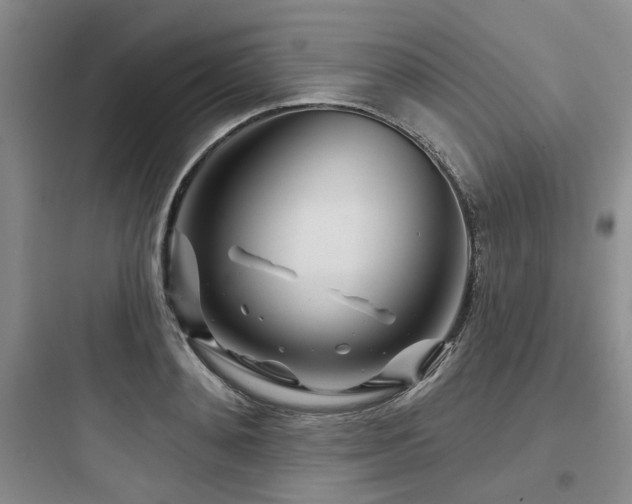X0000097970892200803241232