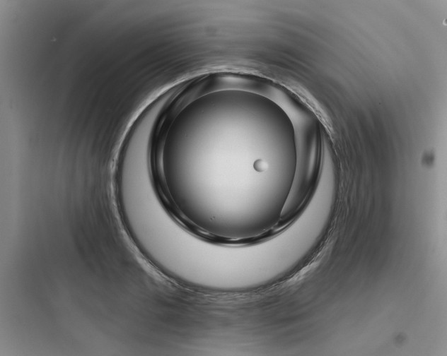 X0000097970893200803241232
