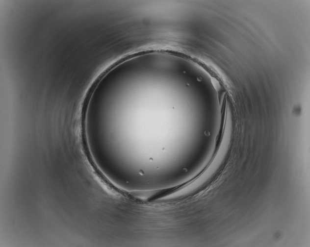 X0000097970894200803241232