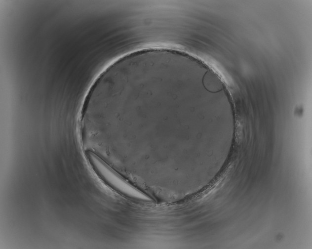X0000097970895200803241232