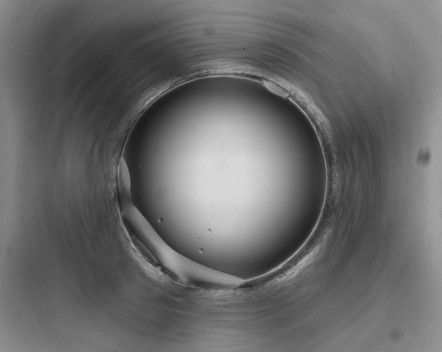X0000097970897200803241232