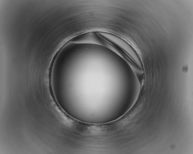 X0000097970898200803241232