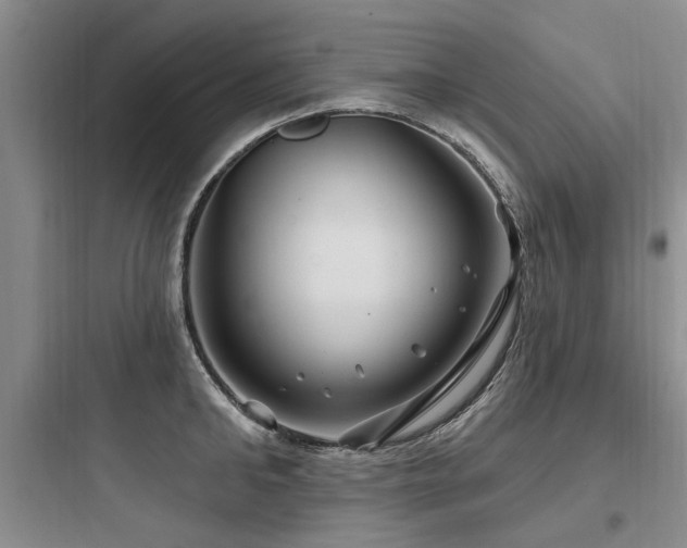 X0000097970902200803241232