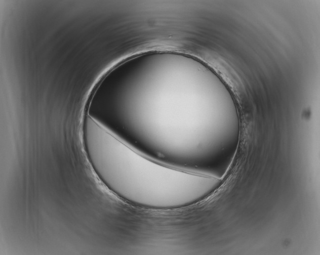 X0000097970904200803241232