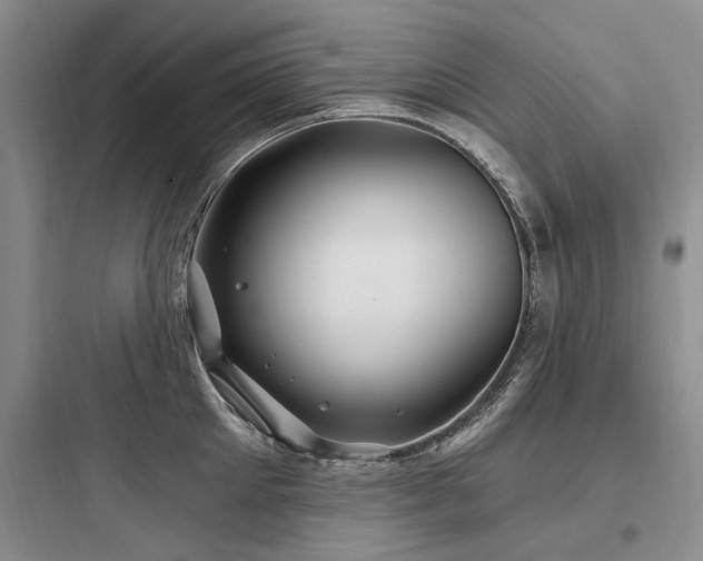 X0000097970905200803241232