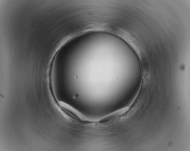 X0000097970906200803241232