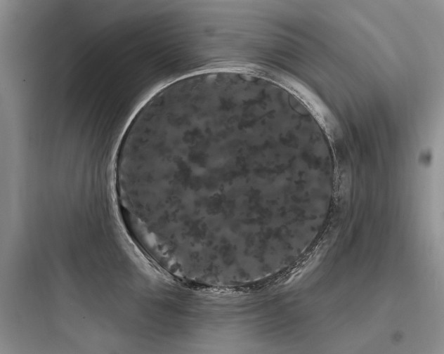 X0000097970907200803241232
