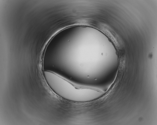 X0000097970908200803241232