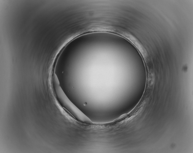 X0000097970909200803241232