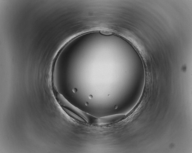 X0000097970910200803241232