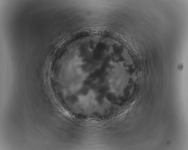 X0000097970913200803241231