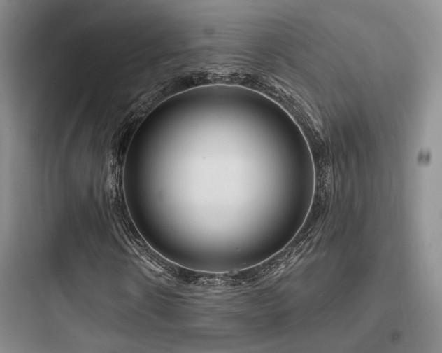 X0000097970914200803241231