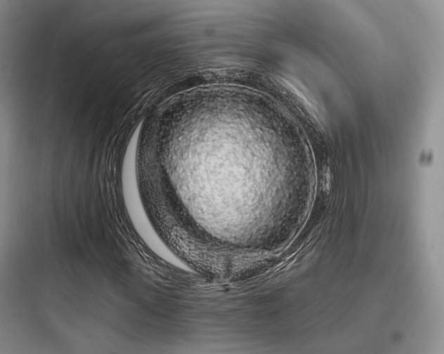 X0000097970915200803241231