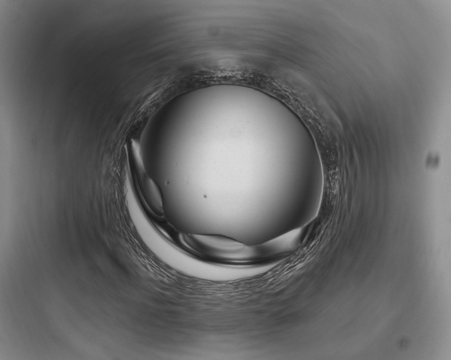 X0000097970916200803241231