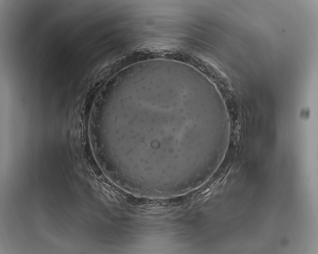X0000097970917200803241231