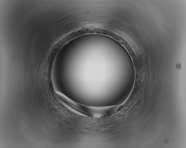 X0000097970919200803241231