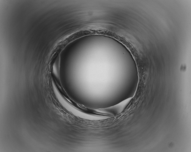 X0000097970920200803241231