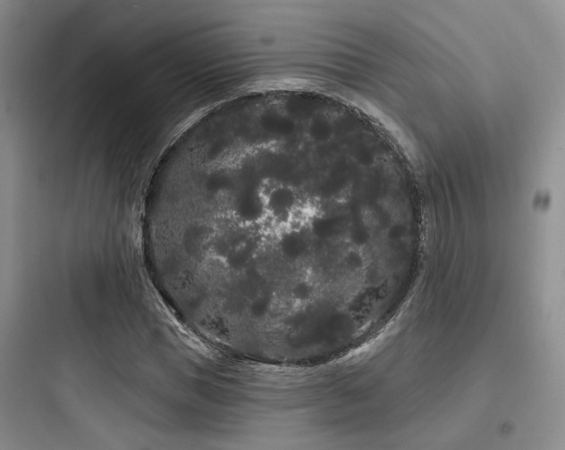 X0000097970921200803241231