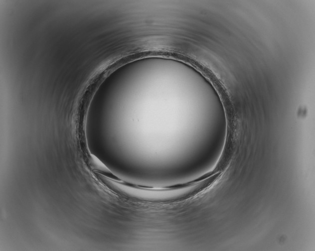 X0000097970922200803241231