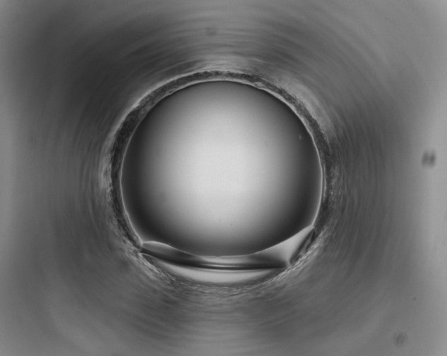 X0000097970923200803241231