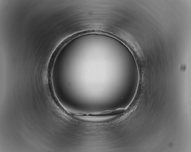 X0000097970924200803241231